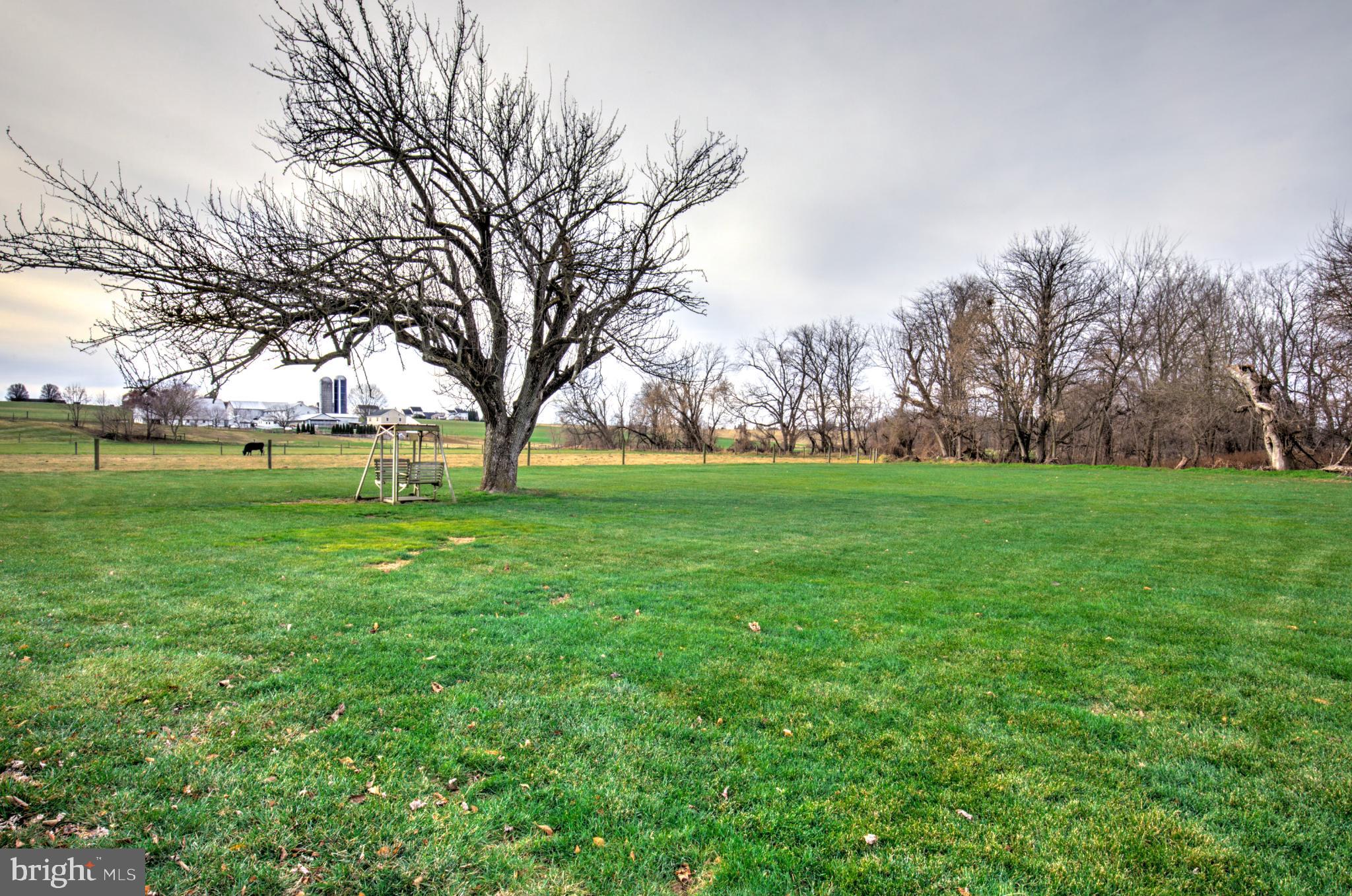 44 Frogtown Road Paradise, PA 17562 - Photo 31 of 86 Sprawling green lawn beneath a solitary tree.