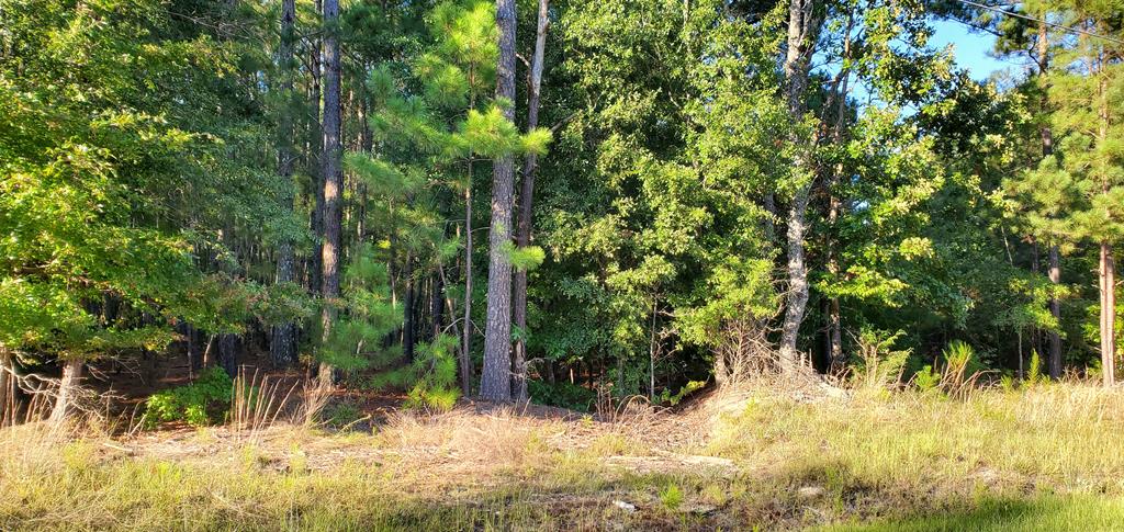 0 Freetown Road Hodges, SC 29653 - Photo 1 of 2