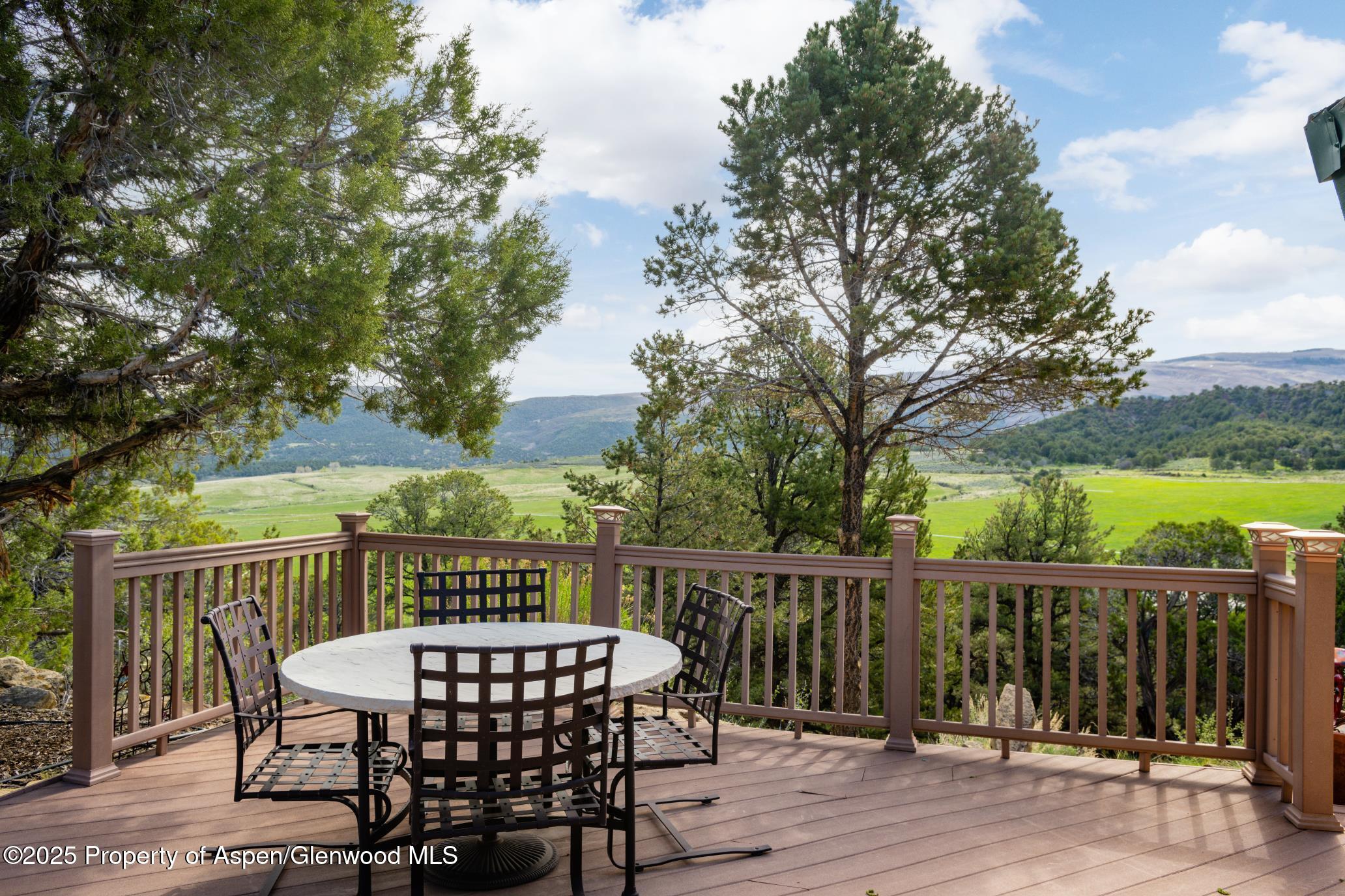 4440 County Road 342 Silt, CO 81652 - Photo 33 of 62 a view of a deck with furniture and trees