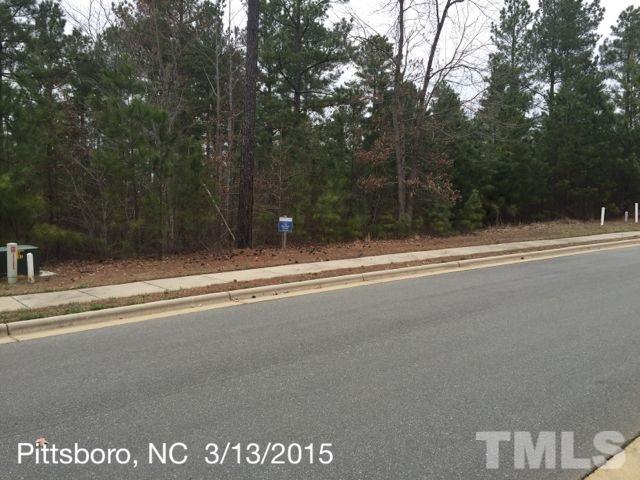 183 High Ridge Lane Pittsboro, NC 27312 - Photo 2 of 16 Gallery Image 2