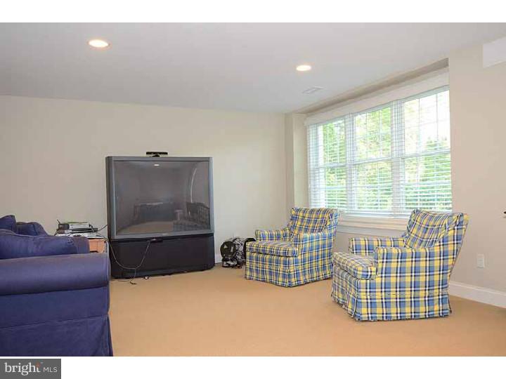 321 Exeter Road Devon, PA 19333 - Photo 21 of 25 Basement - Finished