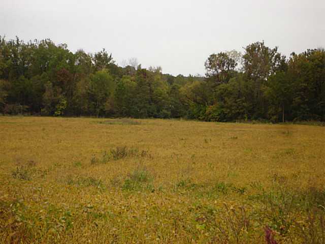 0 Refugee Road Southwest Pataskala, OH 43062 - Photo 2 of 7
