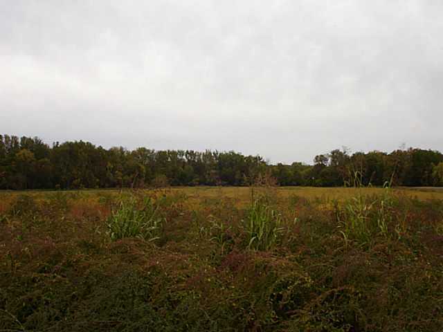 0 Refugee Road Southwest Pataskala, OH 43062 - Photo 3 of 7