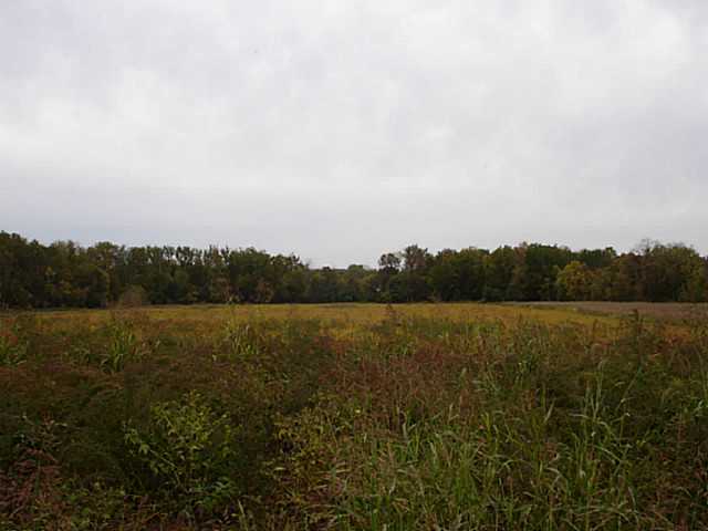 0 Refugee Road Southwest Pataskala, OH 43062 - Photo 5 of 7