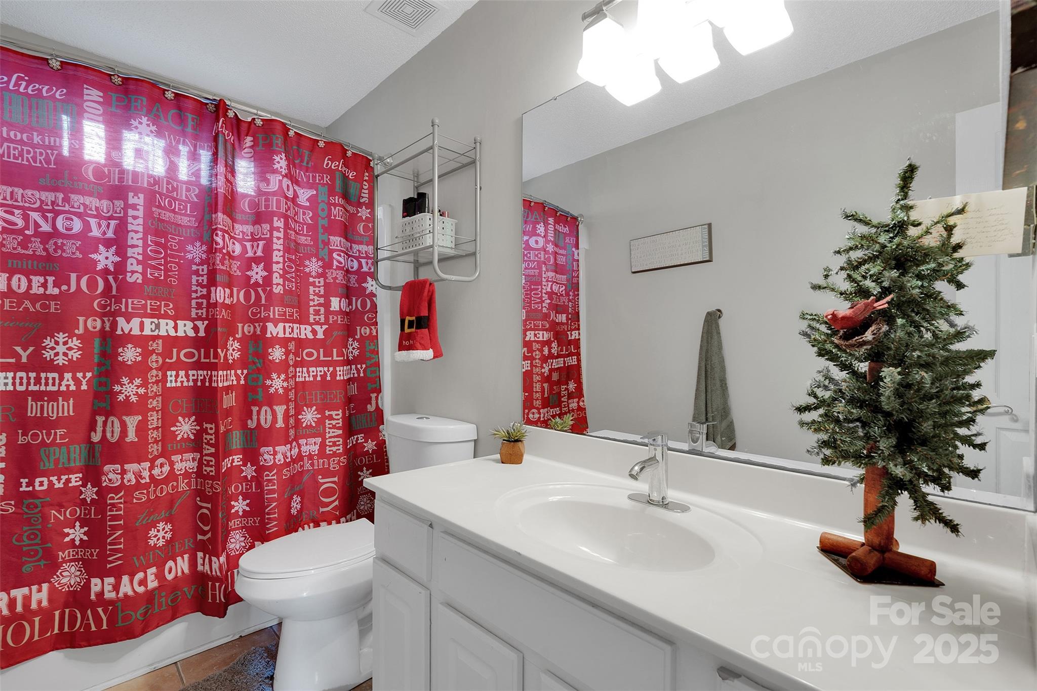 3007 Wyntree Court Matthews, NC 28104 - Photo 26 of 44 a bathroom with a sink a toilet and a mirror