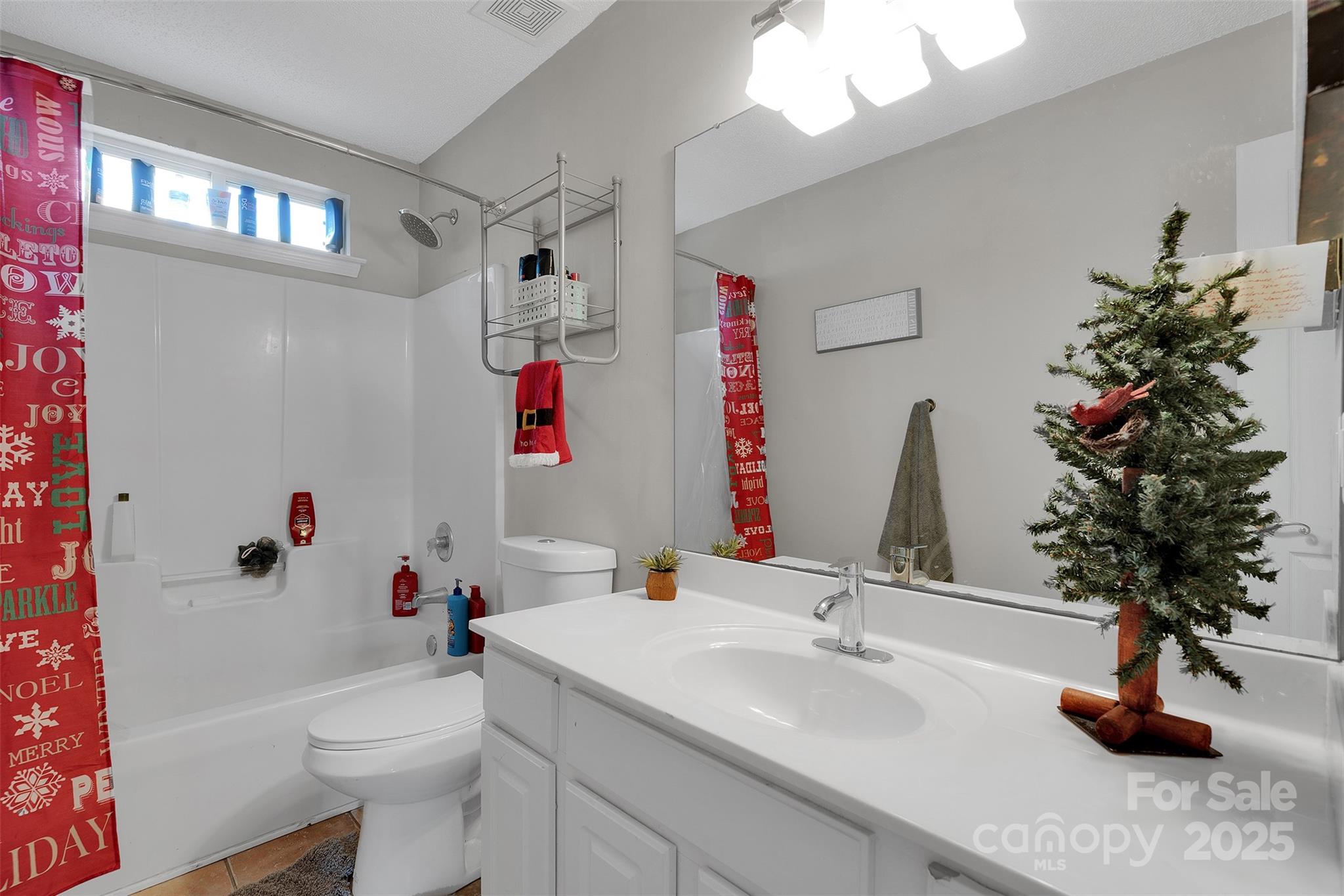 3007 Wyntree Court Matthews, NC 28104 - Photo 27 of 44 a bathroom with a sink vanity mirror and toilet