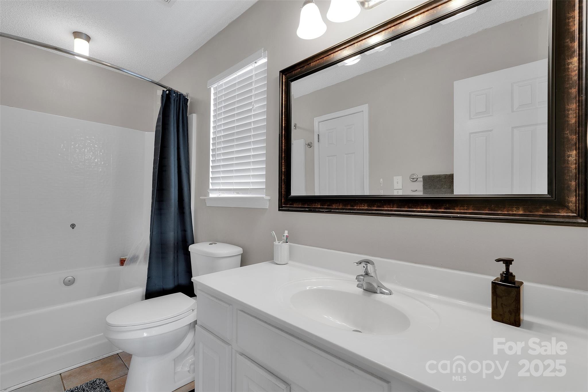 3007 Wyntree Court Matthews, NC 28104 - Photo 32 of 44 a bathroom with a sink a toilet and a mirror