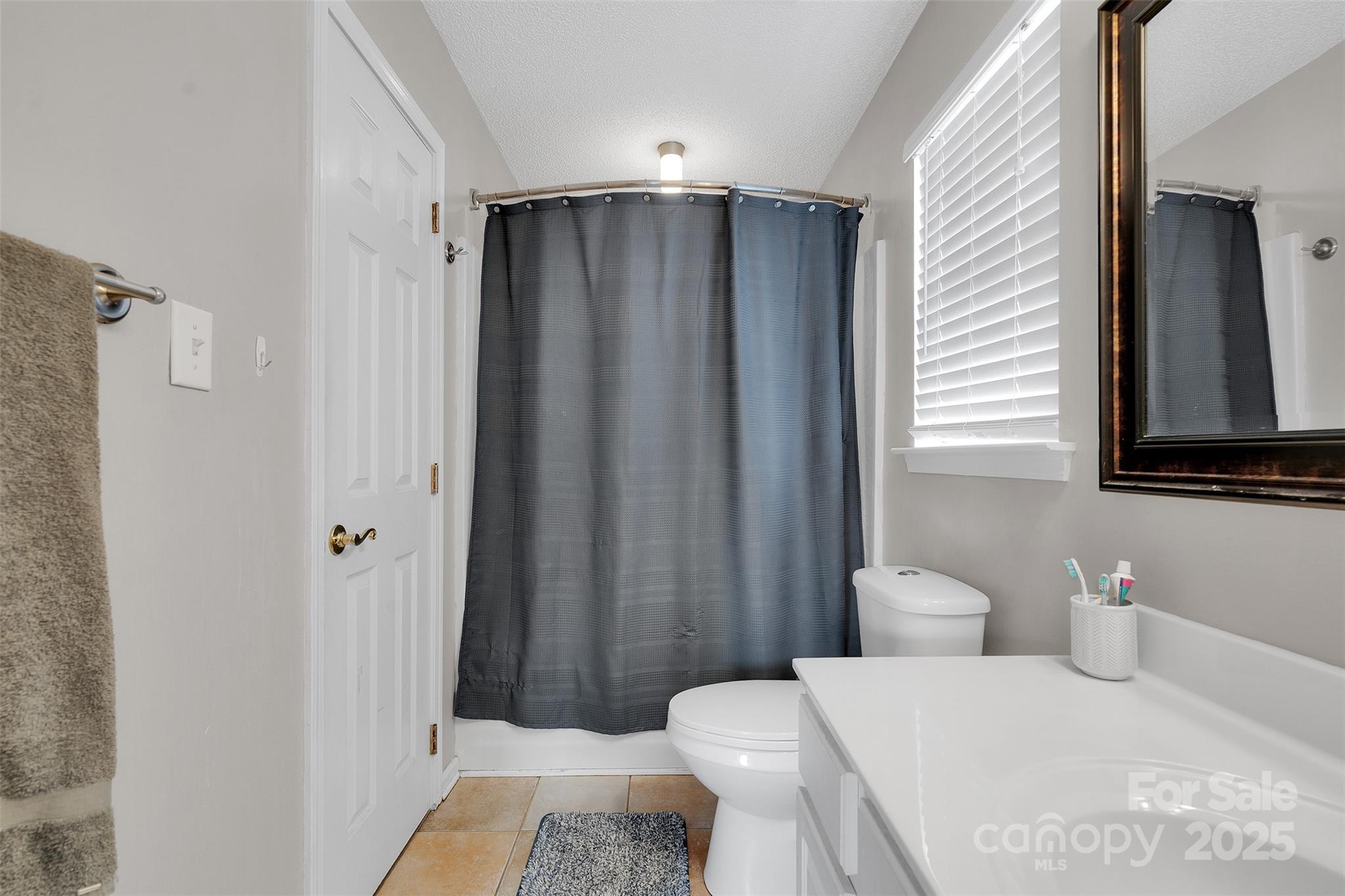 3007 Wyntree Court Matthews, NC 28104 - Photo 33 of 44 a bathroom with a sink and a toilet