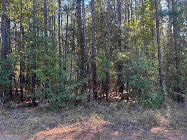 $50,000 | 95 Private Road 6028, Brookeland, TX 75931