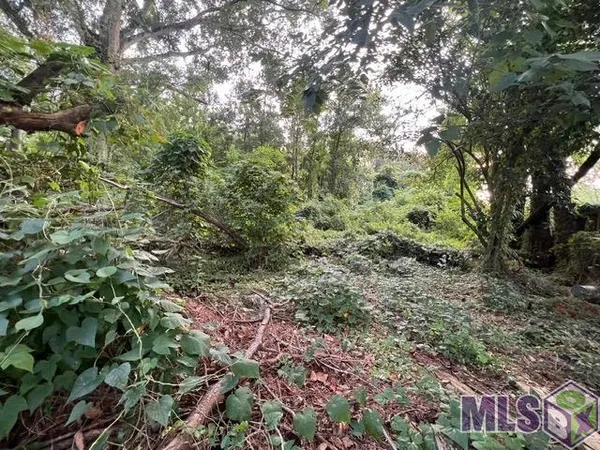$85,000 | 1053 Green Oak Drive, Baton Rouge, LA 70815
