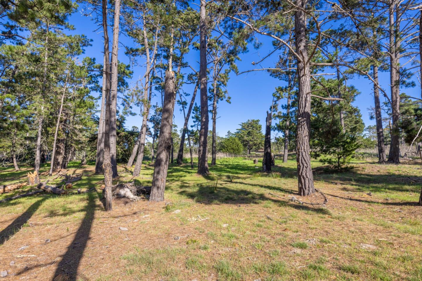 1407 Viscaino Road Pebble Beach, CA 93953 - Photo 7 of 10