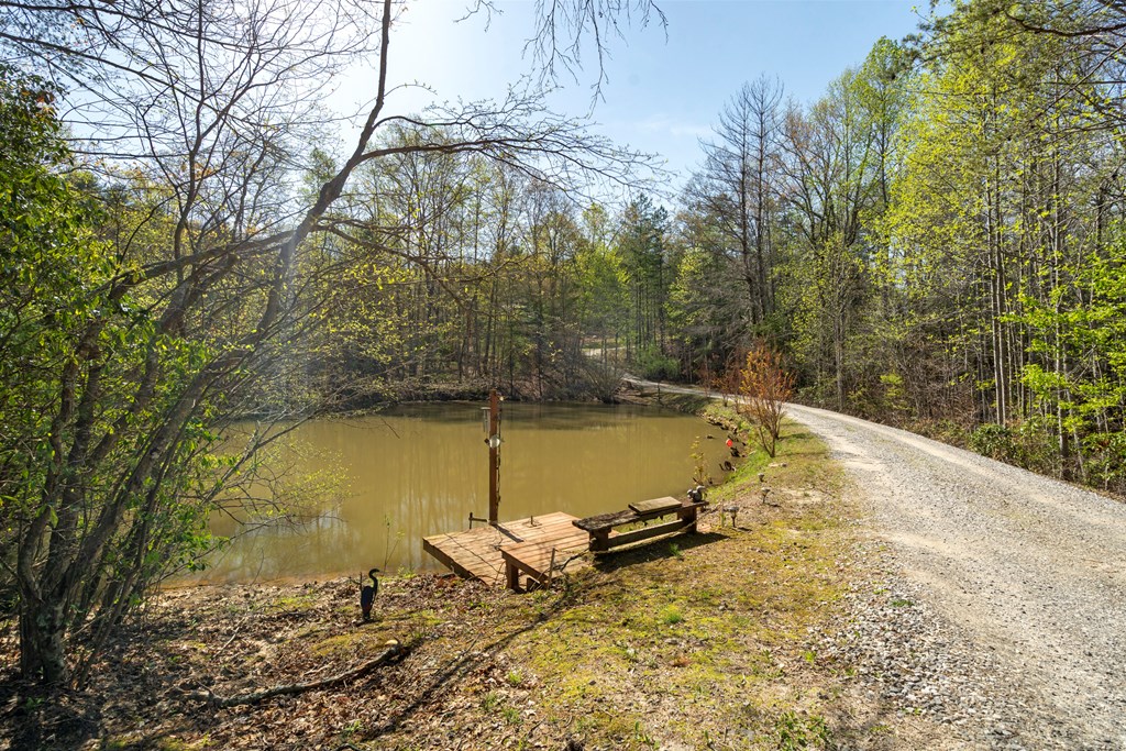 435 Richlen Rdg Road Morganton, GA 30560 - Photo 48 of 54 Gallery Image 48