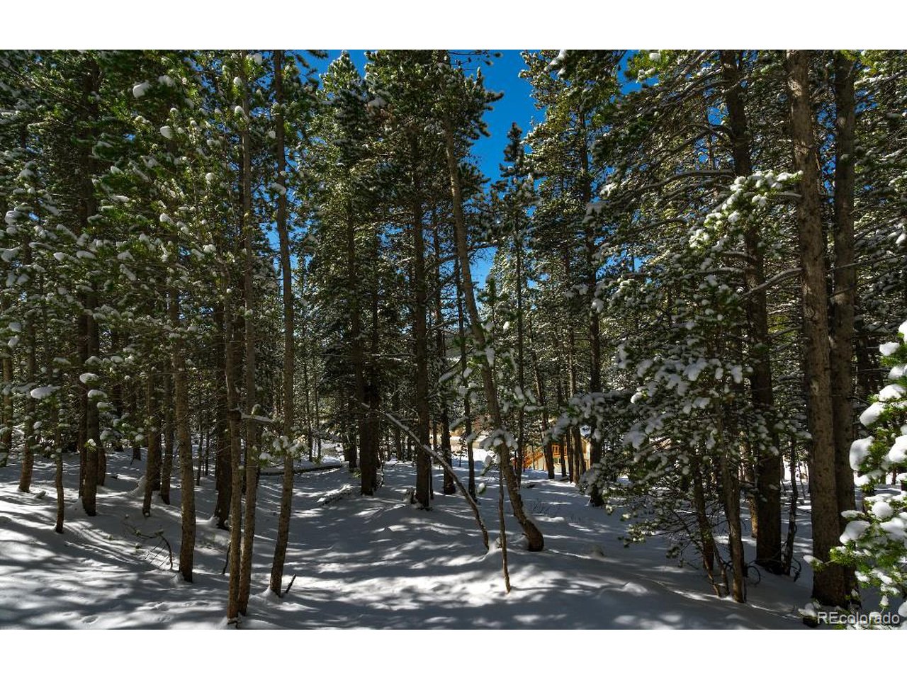 78 Mine Road Idaho Springs, CO 80452 - Photo 6 of 15 Gallery Image 6