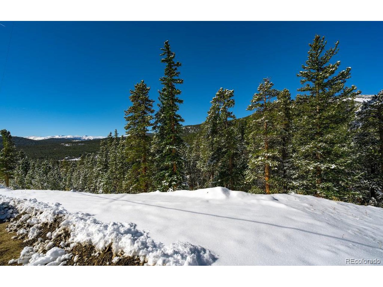 78 Mine Road Idaho Springs, CO 80452 - Photo 8 of 15 Gallery Image 8