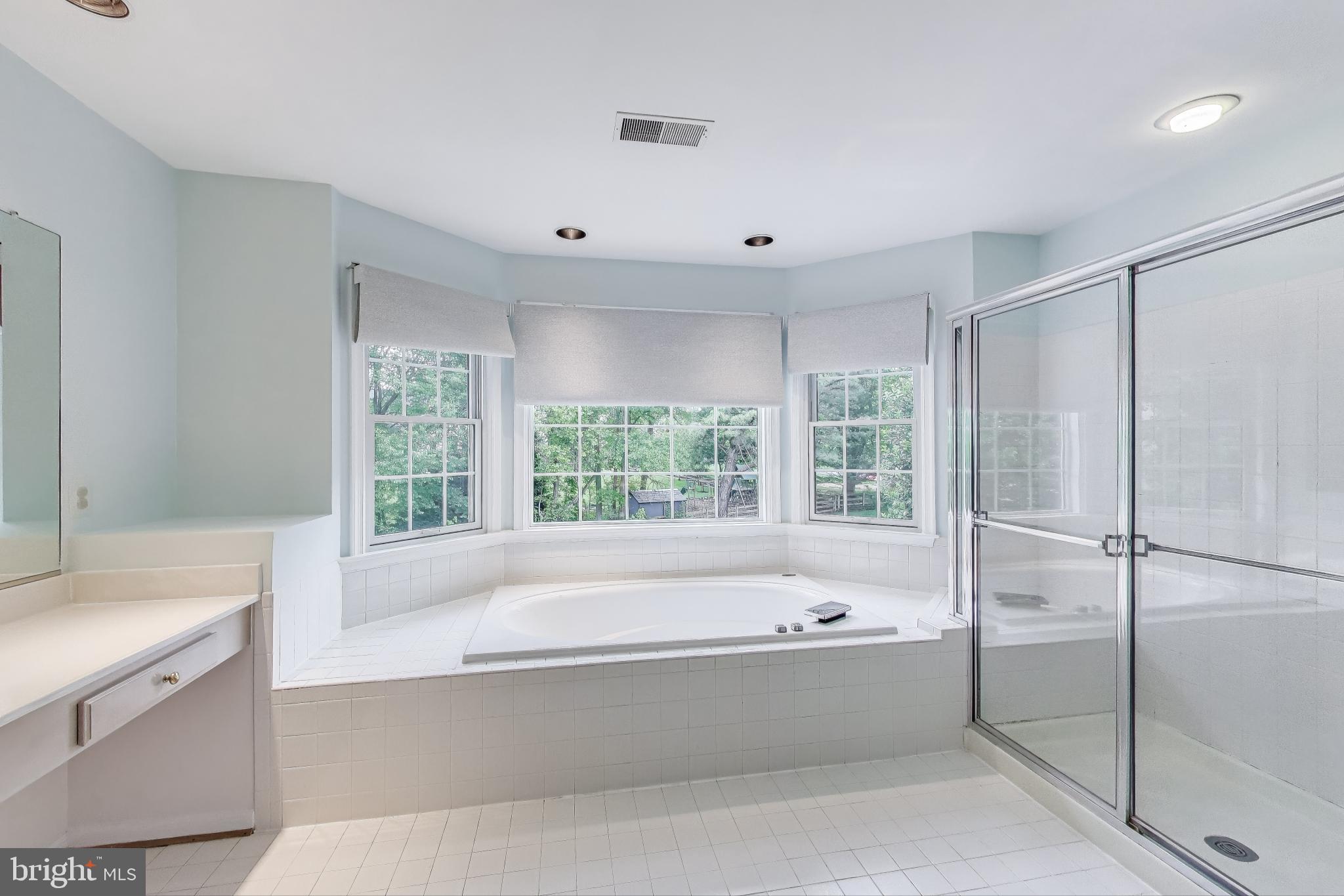 10106 Waterside Drive Burke, VA 22015 - Photo 13 of 30 a spacious bathroom with a tub shower and windows