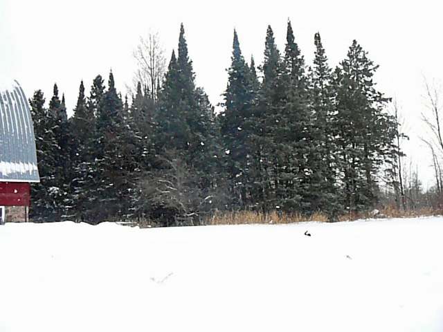 15046 Wagner Vogt Road Butternut, WI 54514 - Photo 20 of 20 Gallery Image 20