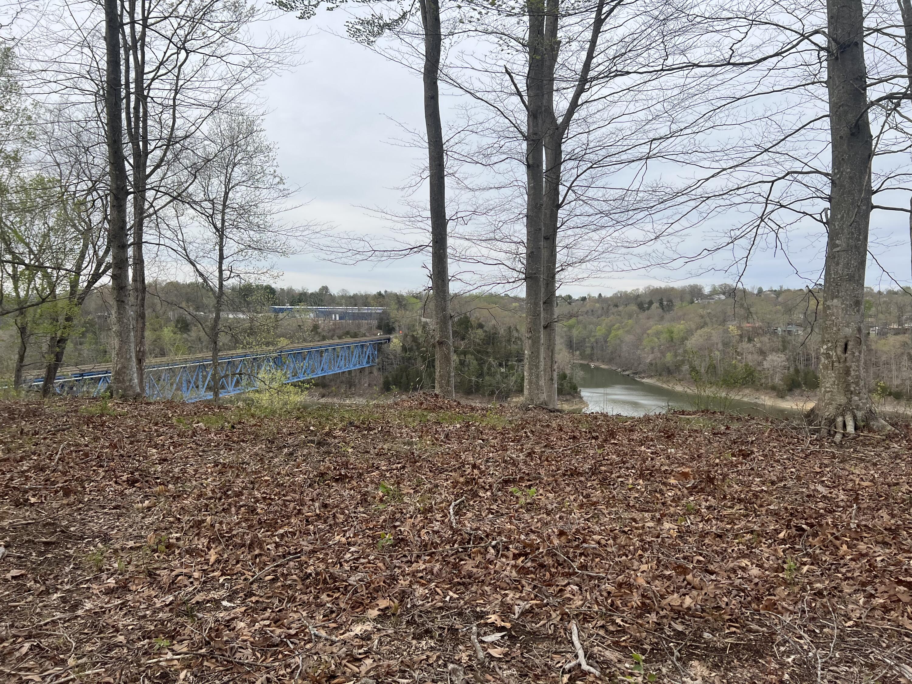 11 Lee's Ford Dock Road Nancy, KY 42544 - Photo 2 of 5 8A5788E1-CFBD-475C-858C-1C34724C6EEB