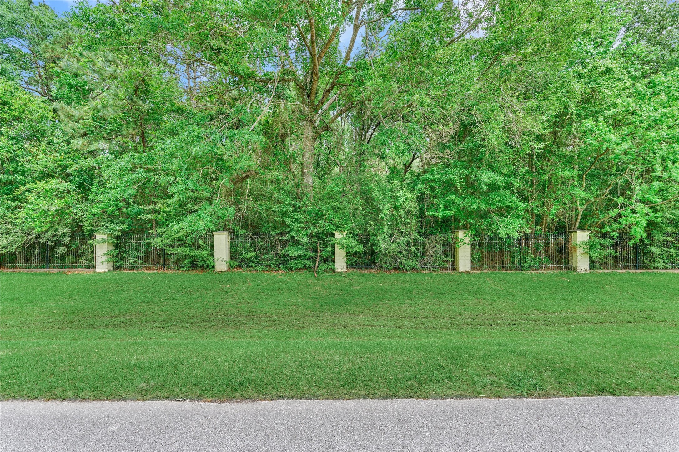 0 Lake Commons Way Huffman, TX 77336 - Photo 11 of 13 a view of a grassy field with trees in the background