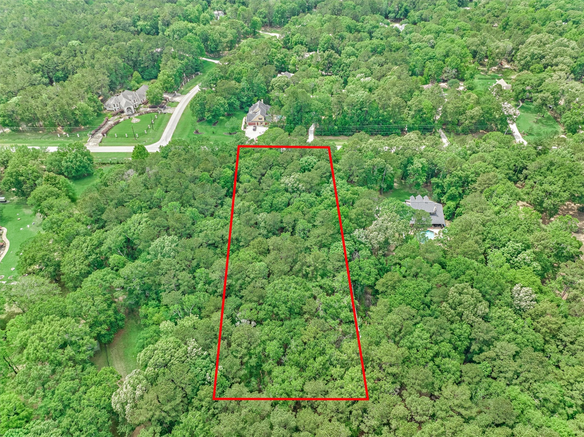 0 Lake Commons Way Huffman, TX 77336 - Photo 13 of 13 a view of a lush green forest with lots of trees