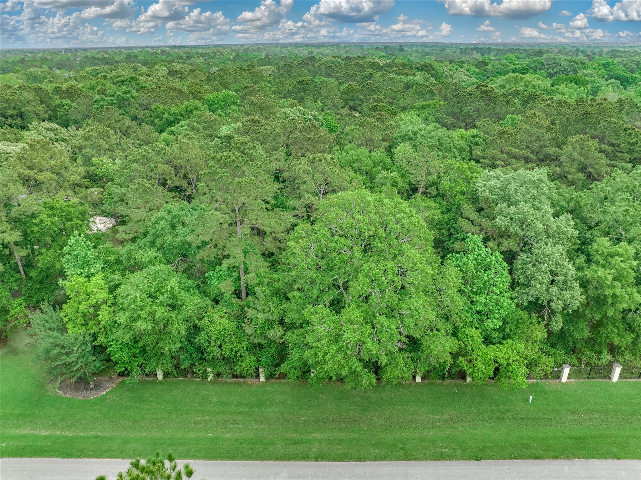 0 Lake Commons Way Huffman, TX 77336 - Photo 4 of 13 a view of a garden
