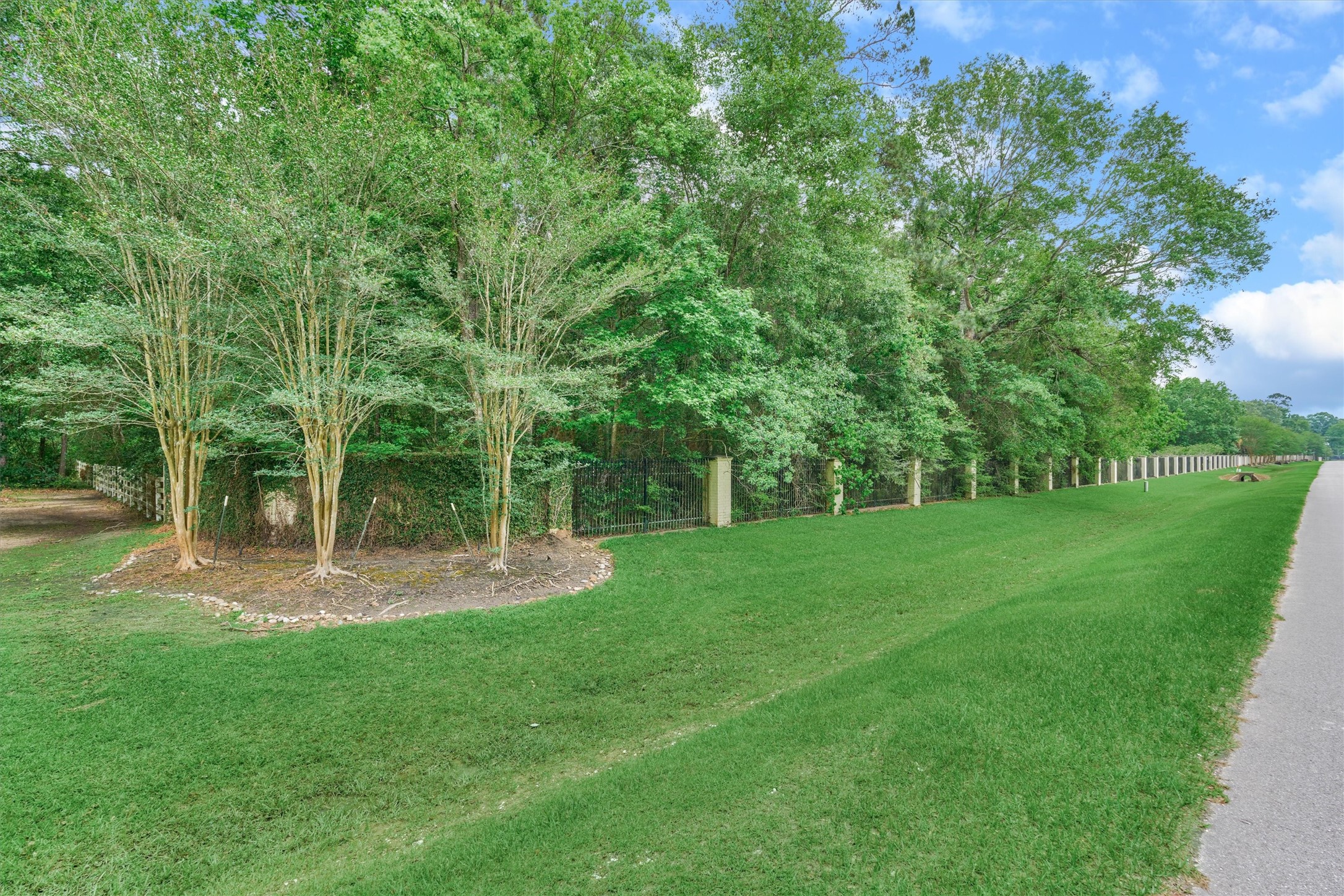 0 Lake Commons Way Huffman, TX 77336 - Photo 9 of 13 a view of a park with a tree