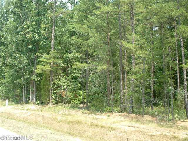 0 Dogwood Road Denton, NC 27239 - Photo 4 of 4 Land/Lot.