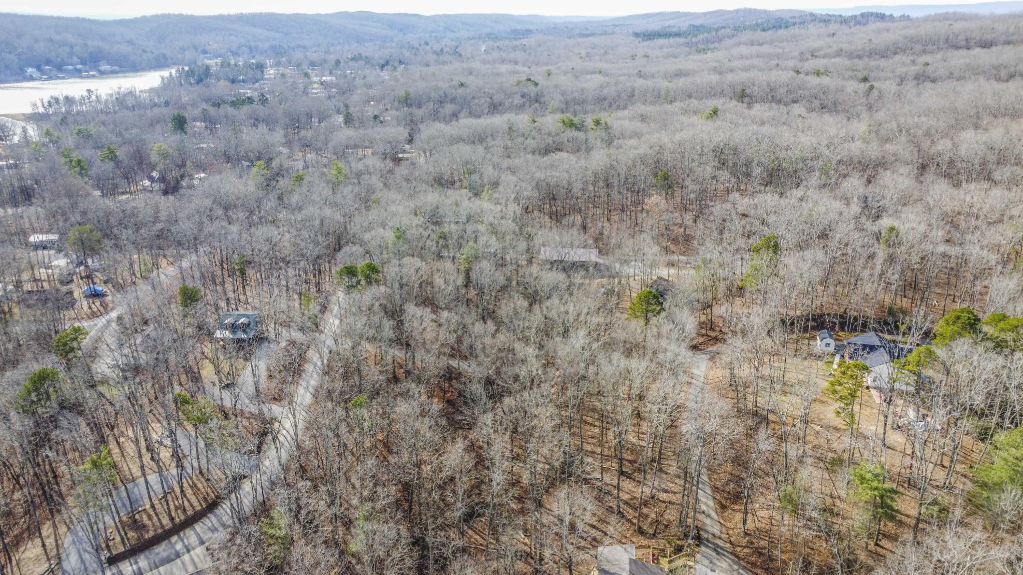 0 Sunset Court Spring City, TN 37381 - Photo 24 of 27 Gallery Image 24