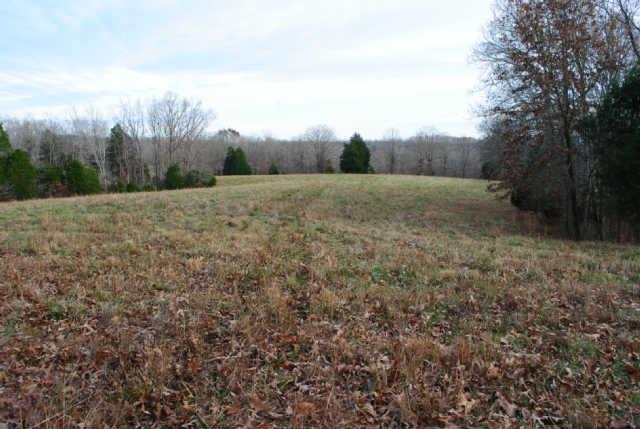 0 Lowe Branch Road Centerville, TN 37033 - Photo 1 of 20 Gallery Image 1