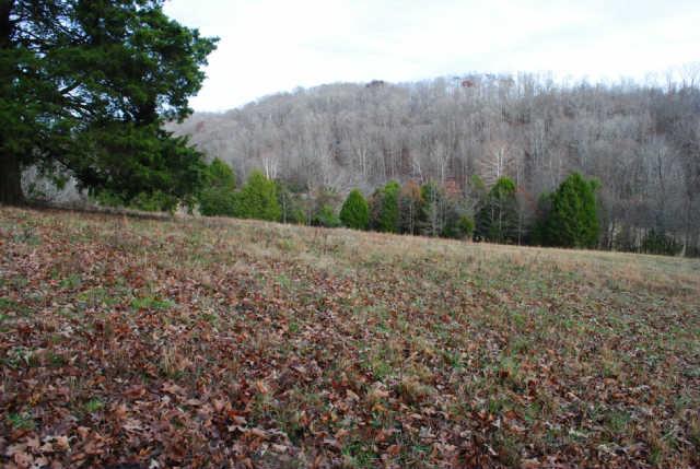 0 Lowe Branch Road Centerville, TN 37033 - Photo 2 of 20 Gallery Image 2