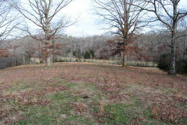 0 Lowe Branch Road Centerville, TN 37033 - Photo 11 of 20 Gallery Image 11