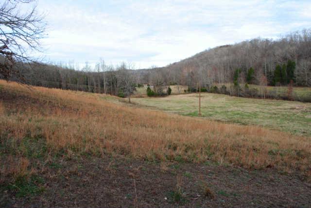 0 Lowe Branch Road Centerville, TN 37033 - Photo 12 of 20 Gallery Image 12