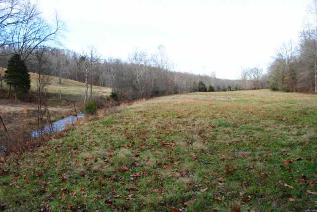 0 Lowe Branch Road Centerville, TN 37033 - Photo 13 of 20 Gallery Image 13