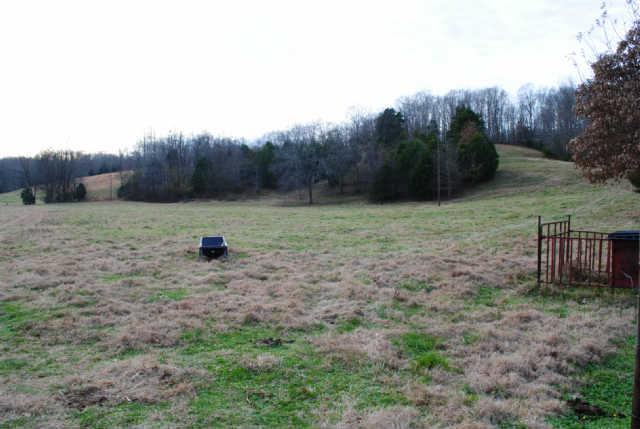 0 Lowe Branch Road Centerville, TN 37033 - Photo 14 of 20 Gallery Image 14