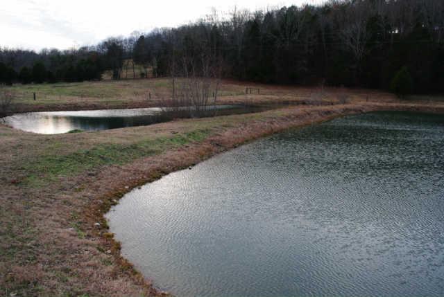 0 Lowe Branch Road Centerville, TN 37033 - Photo 16 of 20 Gallery Image 16