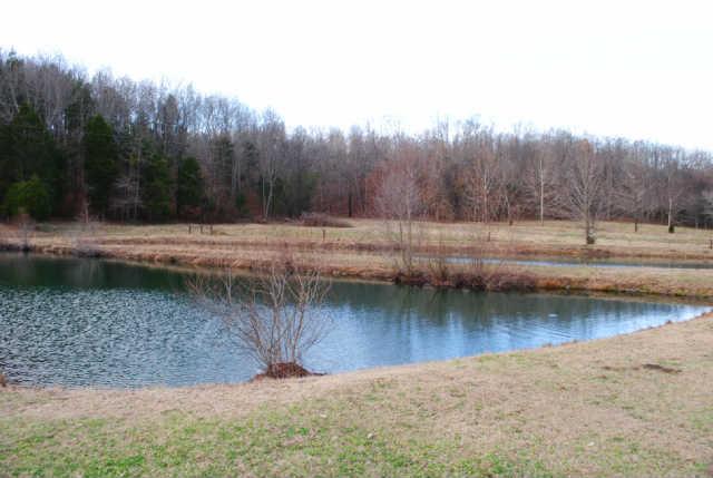 0 Lowe Branch Road Centerville, TN 37033 - Photo 17 of 20 Gallery Image 17