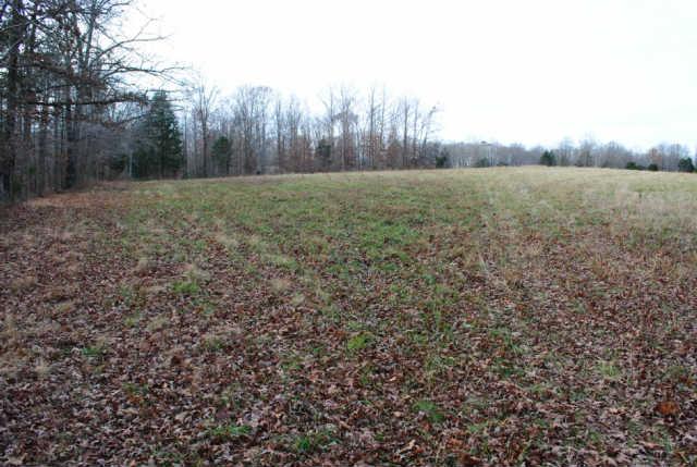 0 Lowe Branch Road Centerville, TN 37033 - Photo 3 of 20 Gallery Image 3