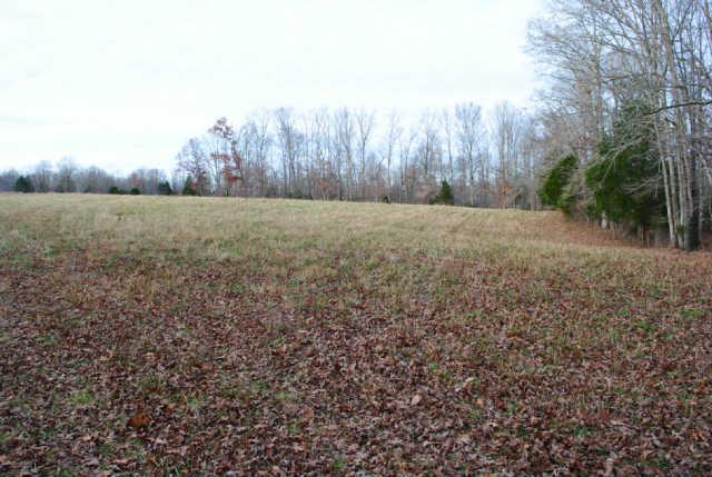 0 Lowe Branch Road Centerville, TN 37033 - Photo 4 of 20 Gallery Image 4