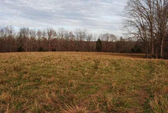 0 Lowe Branch Road Centerville, TN 37033 - Photo 5 of 20 Gallery Image 5