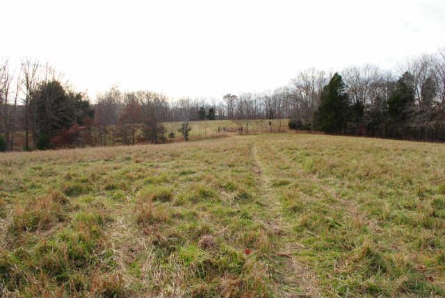 0 Lowe Branch Road Centerville, TN 37033 - Photo 6 of 20 Gallery Image 6
