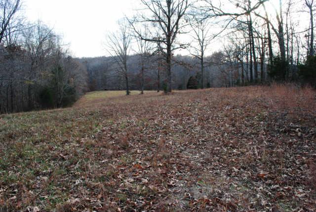 0 Lowe Branch Road Centerville, TN 37033 - Photo 7 of 20 Gallery Image 7