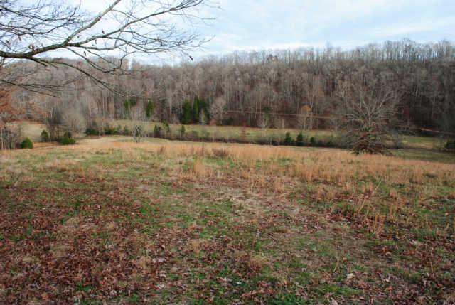 0 Lowe Branch Road Centerville, TN 37033 - Photo 9 of 20 Gallery Image 9