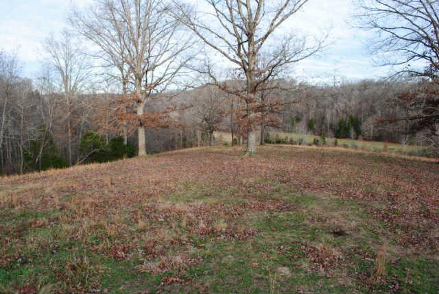 0 Lowe Branch Road Centerville, TN 37033 - Photo 10 of 20 Gallery Image 10