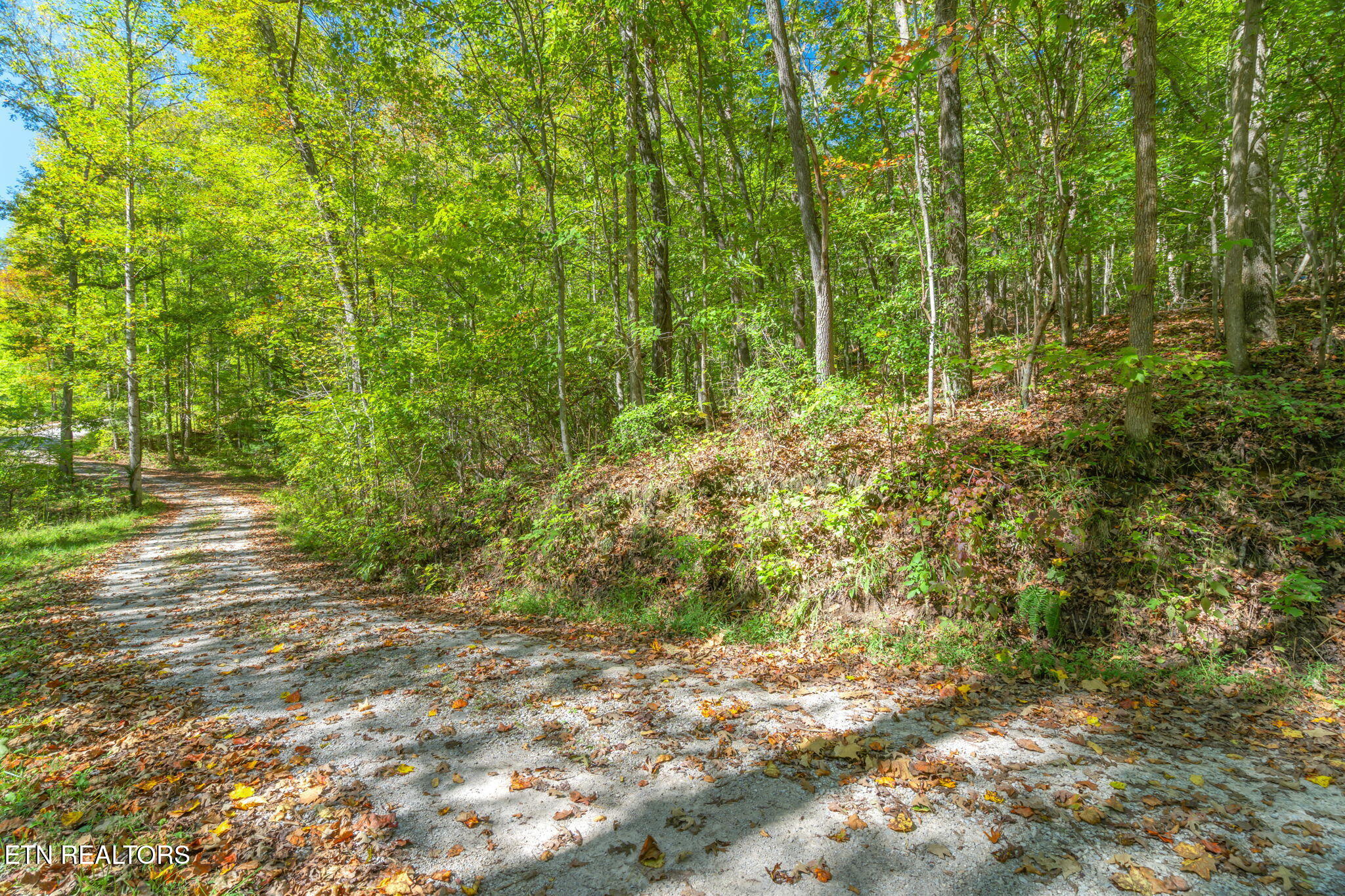 Tunnel Hill Road Harriman, TN 37748 - Photo 6 of 23 3-web-or-mls-Tunnel Hill Road-4