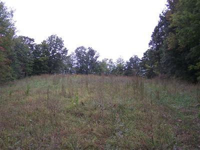 0 Red Hill Road Livingston, KY 40445 - Photo 3 of 9 Photo 3