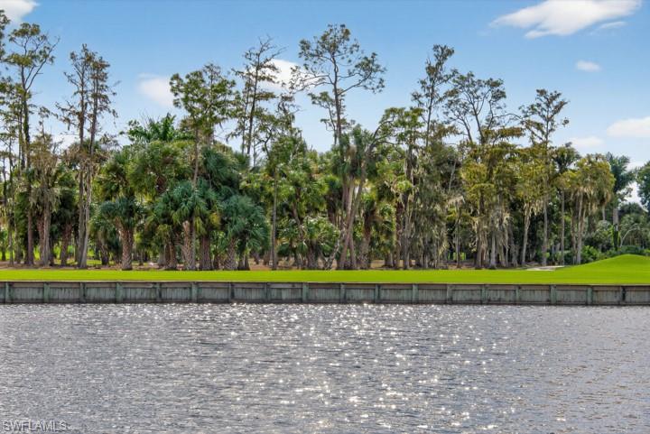 43 Grey Wing Point Naples, FL 34113 - Photo 29 of 50 Water view