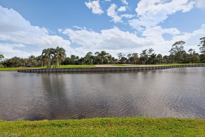 43 Grey Wing Point Naples, FL 34113 - Photo 31 of 50 Water view