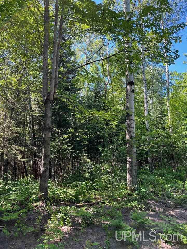 Tbd1 Dog Patch Road, Unit LOT H Lanse, MI 49946 - Photo 12 of 24 Gallery Image 12