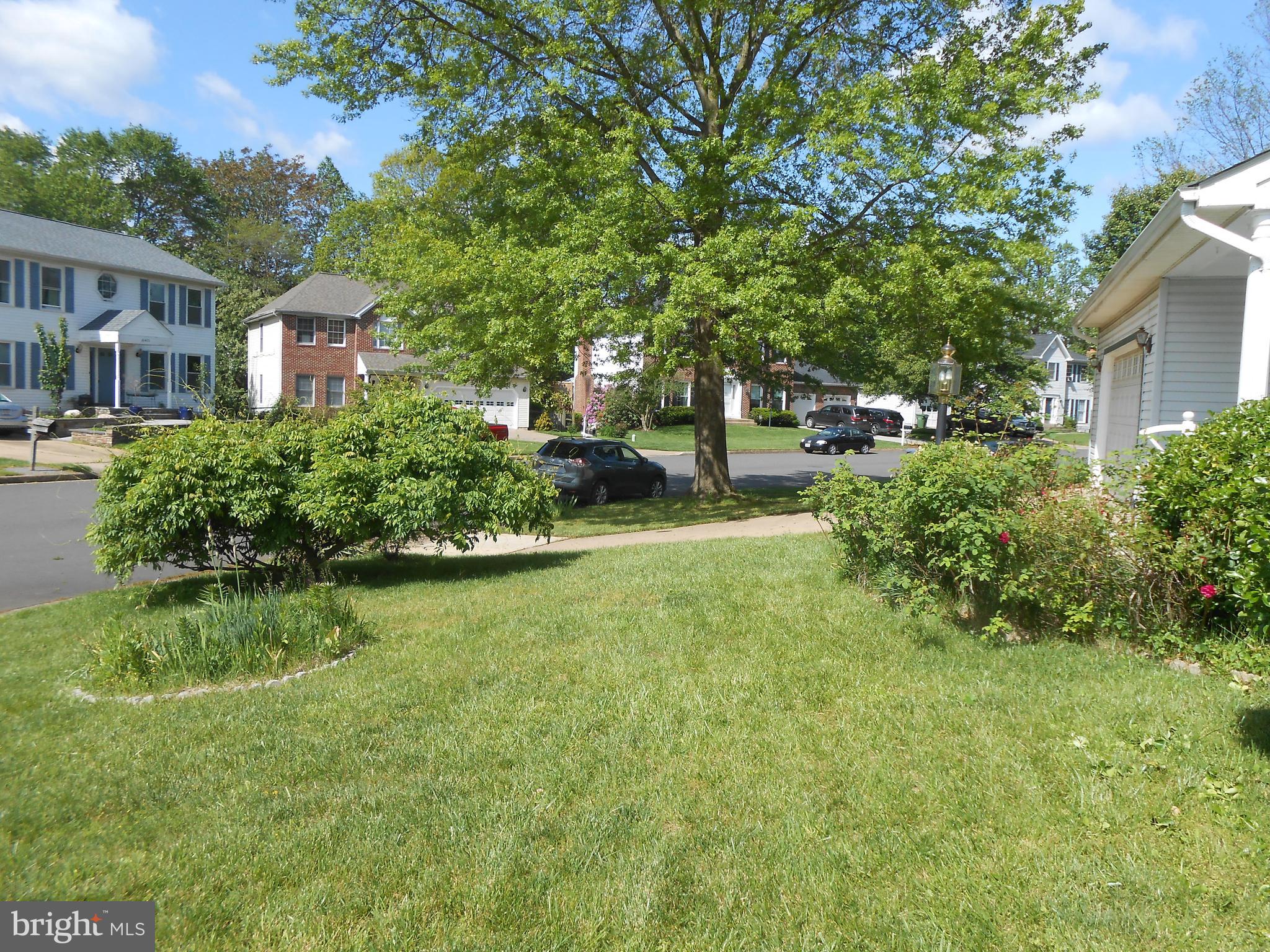 10472 Labrador Loop Manassas, VA 20112 - Photo 6 of 53 Landscaped Front Yard