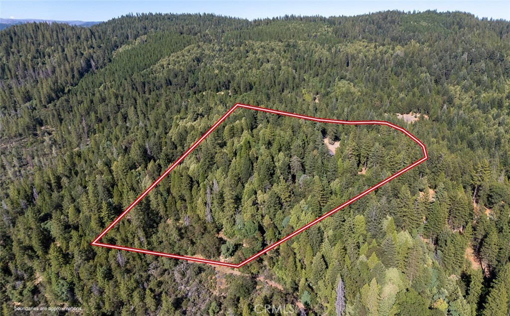 10647 Forbestown Road Forbestown, CA 95941 - Photo 67 of 74