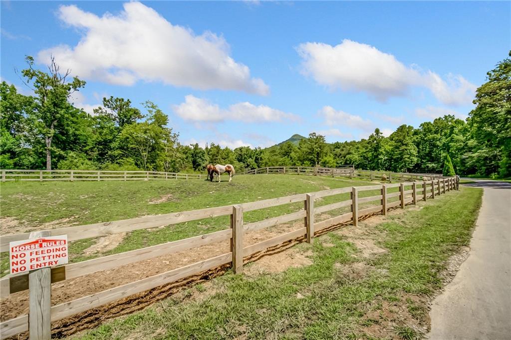 771 Little Hendricks Mountain Road Jasper, GA 30143 - Photo 44 of 45